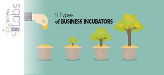 Read more about the article Building Human-Centered Startup Incubators